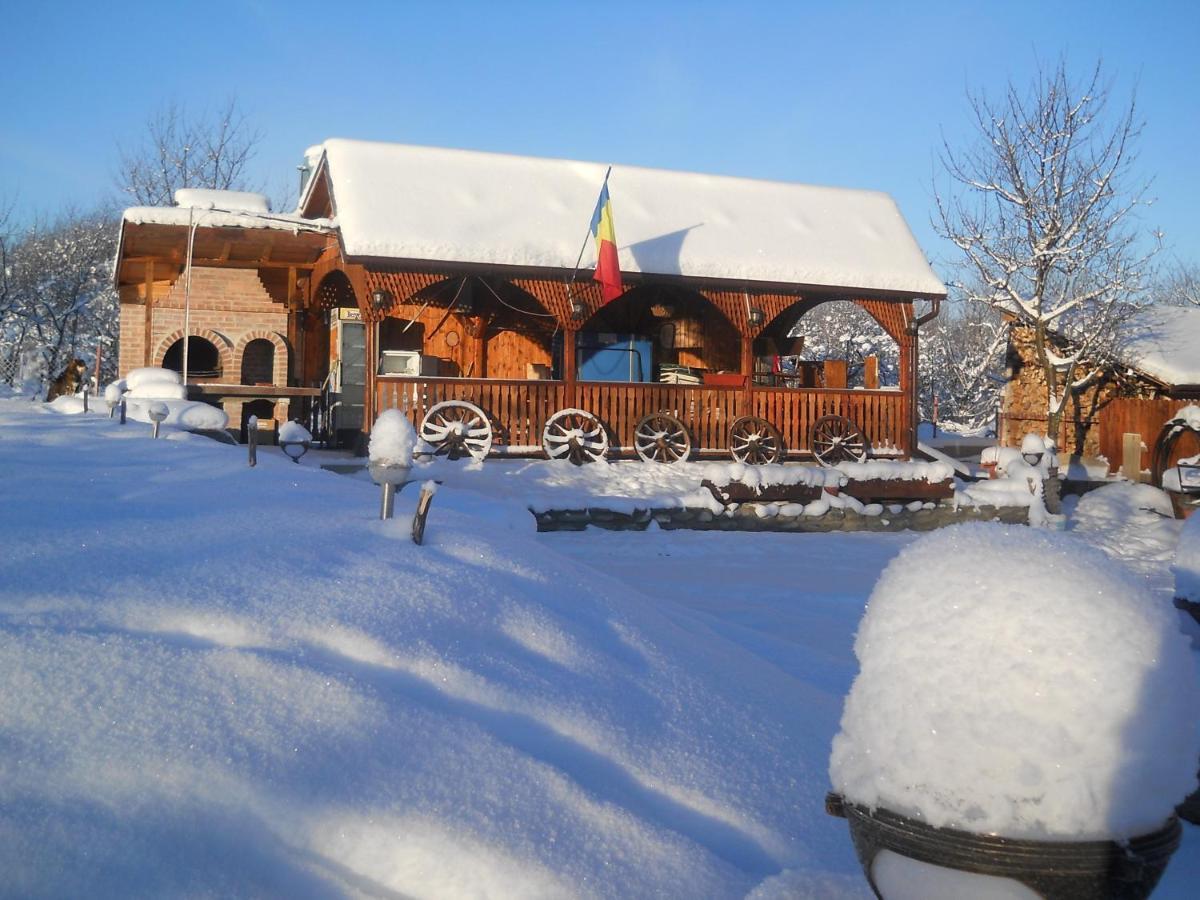 Pensiunea Roua Muntilor Simbata de Sus Exterior photo